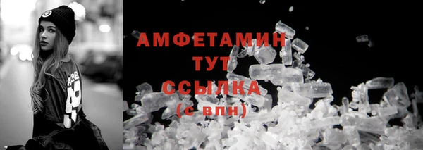крисы Горняк
