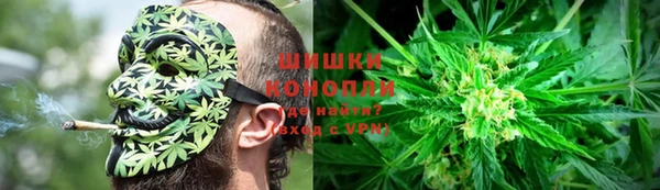 прущие крисы Горно-Алтайск