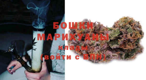 крисы Горняк