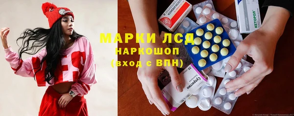 крисы Горняк
